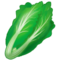 Leafy Green emoji on Samsung